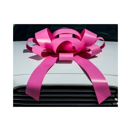 CAR DEALER DEPOT Jumbo Car Bows: Pink 531-PI